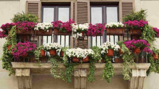 Fiori in balcone