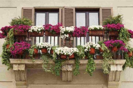 Fiori in balcone