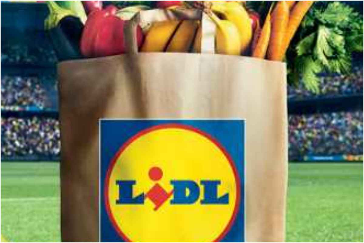 Lidl offerta piante