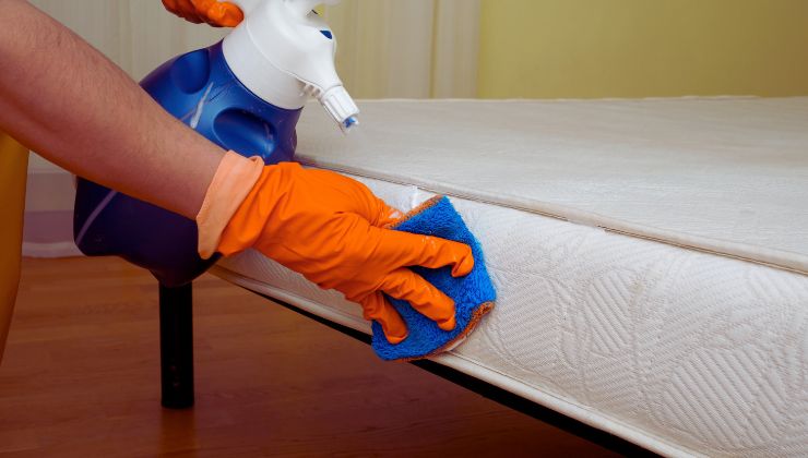 segreto per disinfettarlo ce l'hai in casa