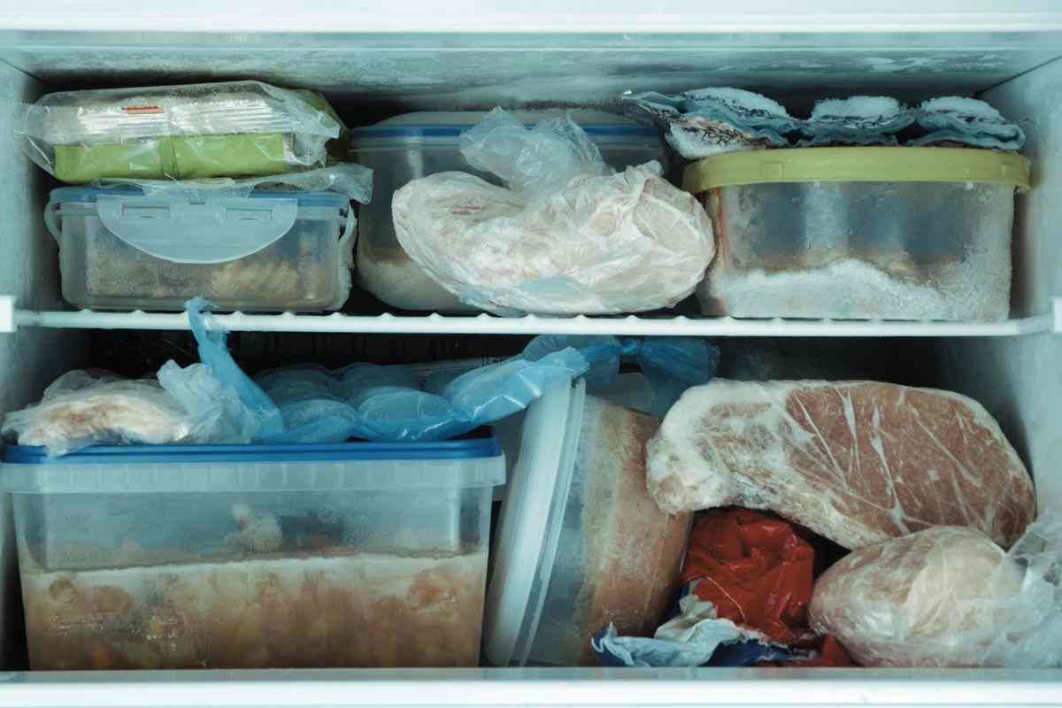 alimenti divisi negli appositi contenitori nel freezer 