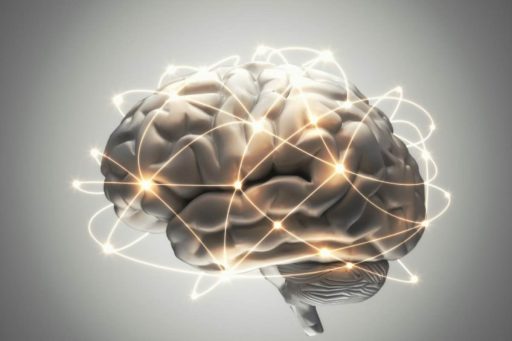 Intelligenza, attività fisica