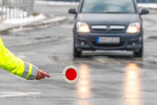 ebbene il loro obiettivo sia quello di garantire la sicurezza stradale