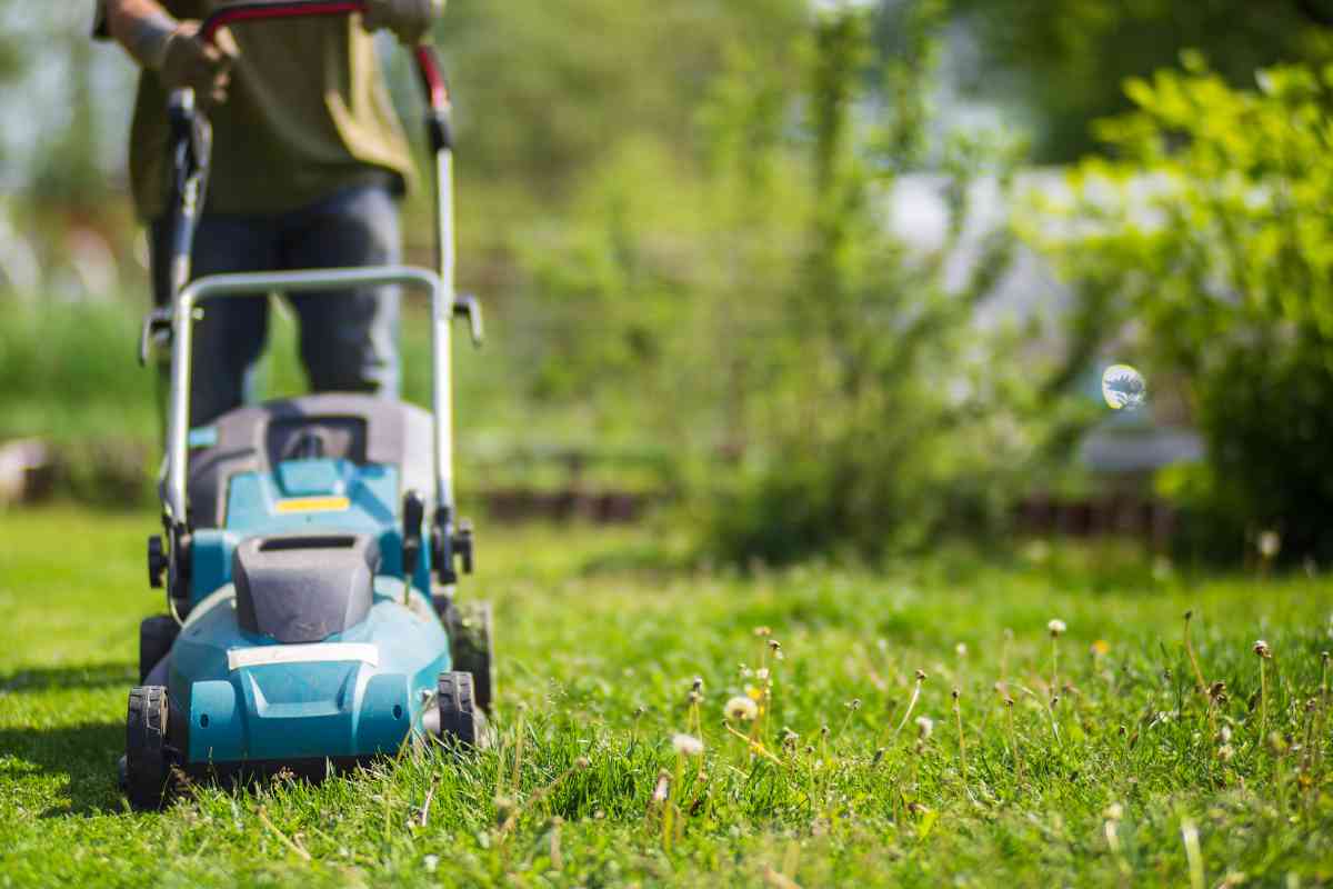 rischi multa se curi giardino così